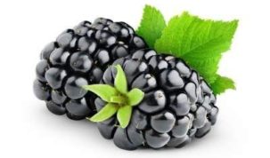 Blackberries Keto Ketoask Keto Ask Keto Diet Guide Keto Food Search