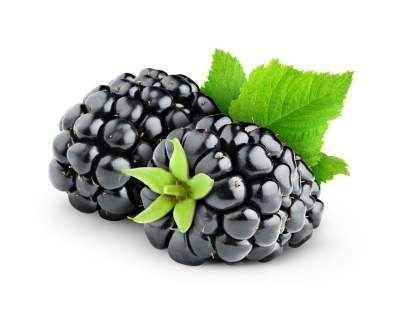 Blackberries Keto Ketoask Keto Ask Keto Diet Guide Keto Food Search