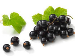 Is Black Currant Keto Ketoask Keto Ask Keto Diet Guide Keto Friendly Food Search