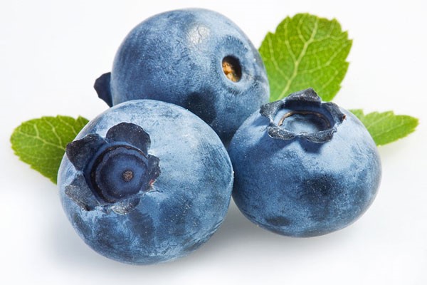 Are Blueberries Keto Ketoask Keto Ask Keto Diet Guide Keto Food Search