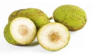 Is Breadfruit Keto Ketoask Keto Ask Keto Diet Guide Keto Food Search