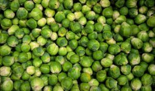 Are Brussels Sprouts Ketoask Keto Ask Keto Diet Guide Keto Food Search