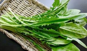 Are Dendelion Greens Keto Ketoask Keto Ask Keto Diet Guide Keto Food Search