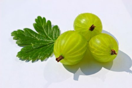 GOOSEBERRIES KETO FRIENDLY ANSWER | KETOGENIC - KETOASK