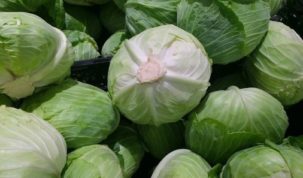 Is Cabbage Keto Ketoask Keto Ask Keto Diet Guide Keto Food Search