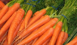 Is Carrot Keto Ketoask Keto Ask Keto Diet Guide Keto Food Search