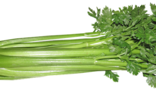 Is Celery Keto Ketoask Keto Ask Keto Diet Guide Keto Food Search