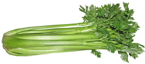 Is Celery Keto Ketoask Keto Ask Keto Diet Guide Keto Food Search