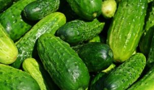 Is Cucumber Keto Ketoask Keto Ask Keto Diet Guide Keto Food Search