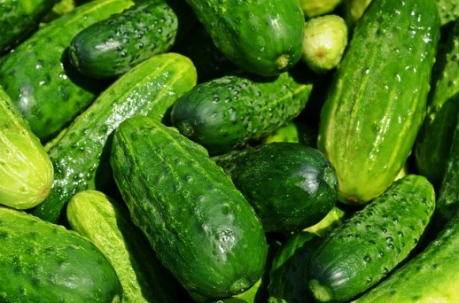 Is Cucumber Keto Ketoask Keto Ask Keto Diet Guide Keto Food Search