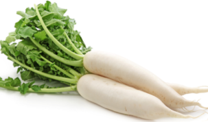 Is Daikon Keto Ketoask Keto Ask Keto Diet Guide Keto Food Search