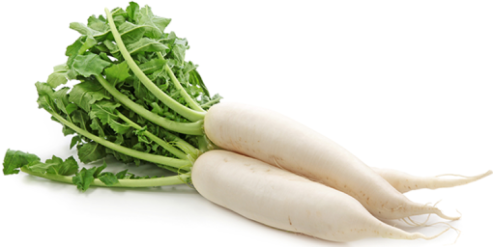 Is Daikon Keto Ketoask Keto Ask Keto Diet Guide Keto Food Search