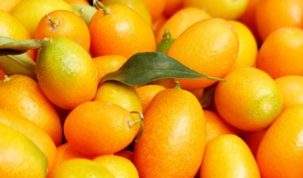Is Kumquat Keto Ketoask Keto Ask Keto Diet Guide Keto Food Search