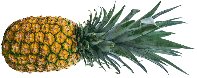 Is Pineapple Keto Ketoask Keto Ask Keto Diet Guide Keto Food Search Keto Friendliness