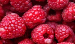 Is Raspberry Keto Ketoask Keto Ask Keto Diet Guide Keto Food Search