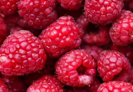 Is Raspberry Keto Ketoask Keto Ask Keto Diet Guide Keto Food Search