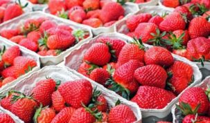 Is Strawberry Keto Ketoask Keto Ask Keto Diet Guide Keto Food Search