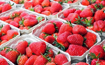 Is Strawberry Keto Ketoask Keto Ask Keto Diet Guide Keto Food Search