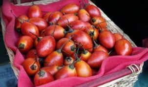 Is Tamarillo tree tomato Keto Ketoask Keto Ask Keto Diet Guide Keto Food Search