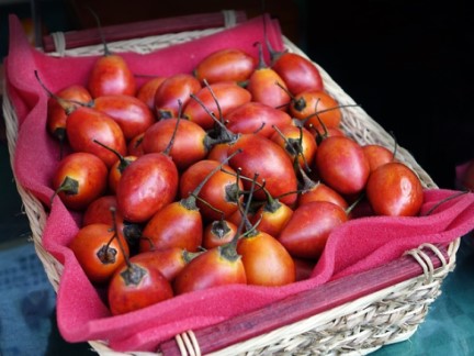 Is Tamarillo tree tomato Keto Ketoask Keto Ask Keto Diet Guide Keto Food Search