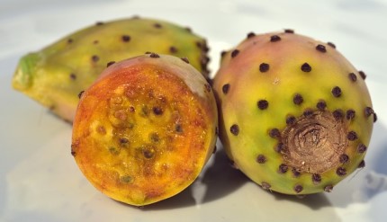 Prickly Pear Keto Ketoask Keto Ask Keto Dieg Guide Keto Food Directory