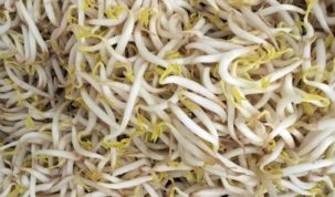 Are Bean Sprouts Keto Ketoask Keto Ask Keto Diet Guide Keto Food Search