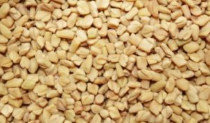 Are Fenugreek Seeds Keto Friendly Ketoask keto ask learn keto friendliness