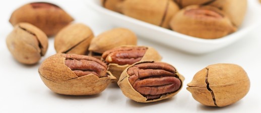 Are Pecans Keto Friendly Ketoask Keto Ask Keto Diet Guide Keto Food Search