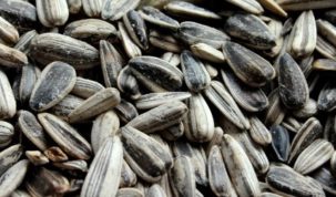 Are Sunflower Seeds Keto Friendly Ketoask keto ask learn keto friendliness