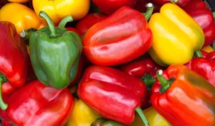 Is Bell Pepper Keto Ketoask Keto Ask Keto Diet Guide Keto Food Search