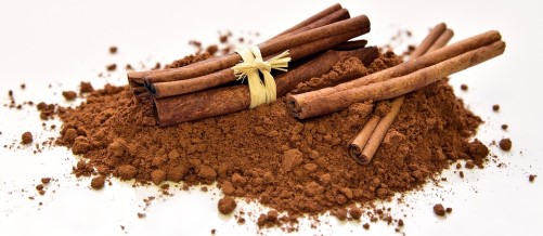 Is Cinnamon Keto Ketoask Keto Ask Keto Diet Guide Keto Food Search