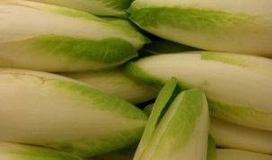 Is Endive Keto Ketoask Keto Ask Keto Diet Guide Keto Food Search