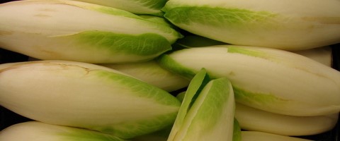 Is Endive Keto Ketoask Keto Ask Keto Diet Guide Keto Food Search