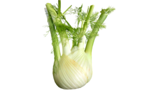 Is Fennel Keto Friendly Ketoask Keto Ask Keto Diet Guide Keto Food Search