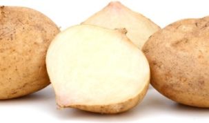 Is Jicama Keto Ketoask Keto Ask Keto Diet Guide Keto Food Search