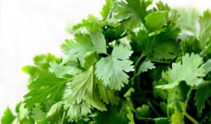 Is Parsley Keto Friendly Ketoask Keto Ask Keto Diet Guide Keto Food Search