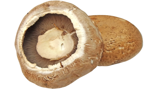 Is Portobello Mushroom Keto Ketoask Keto Ask Keto Diet Guide Keto Food Search