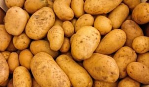 Is Potato Keto Ketoask Keto Ask Keto Diet Guide Keto Food Search