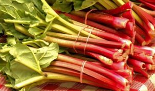 Is Rhubarb Keto Ketoask Keto Ask Keto Diet Guide Keto Food Search