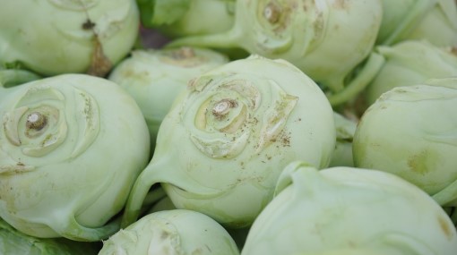 Is Rutabaga Keto Ketoask Keto Ask Keto Diet Guide Keto Food Search