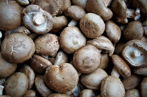 Is Shiitake Mushroom Keto Ketoask Keto Ask Keto Diet Guide Keto Food Search
