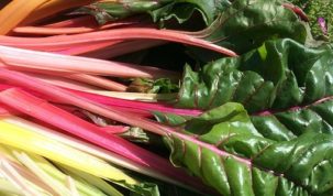 Is Swiss Chard Keto Ketoask Keto Ask Keto Diet Guide Keto Food Search