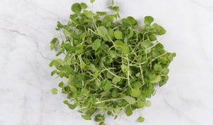 Is Watercress Keto Ketoask Keto Ask Keto Diet Guide Keto Food Search