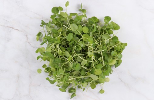 Is Watercress Keto Ketoask Keto Ask Keto Diet Guide Keto Food Search