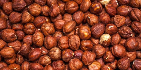Are Hazelnuts Keto Friendly Ketoask Keto Ask Keto Diet Guide Keto Food Search