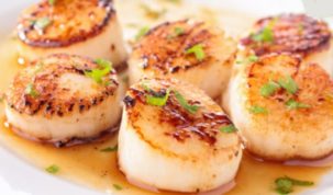 Are Scallops Keto Friendly Ketoask Keto Ask Keto Diet Guide Browser Keto Food Search