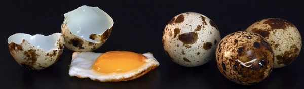 Quail Egg Keto Friendly Ketoask Keto Ask Keto Diet Guide Browser Keto Food Search